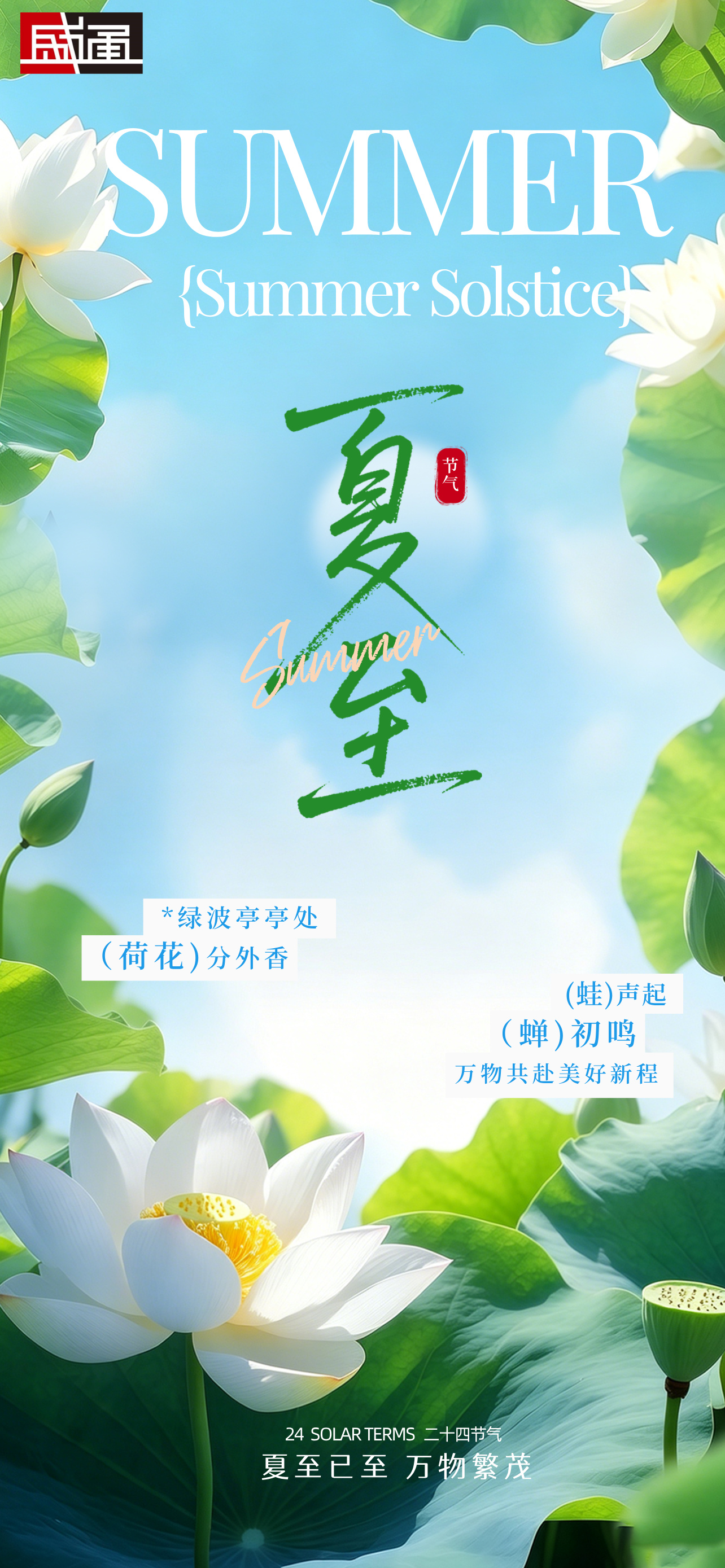 合成风夏至节气手机海报__2026-06-17+17_59_43.jpg